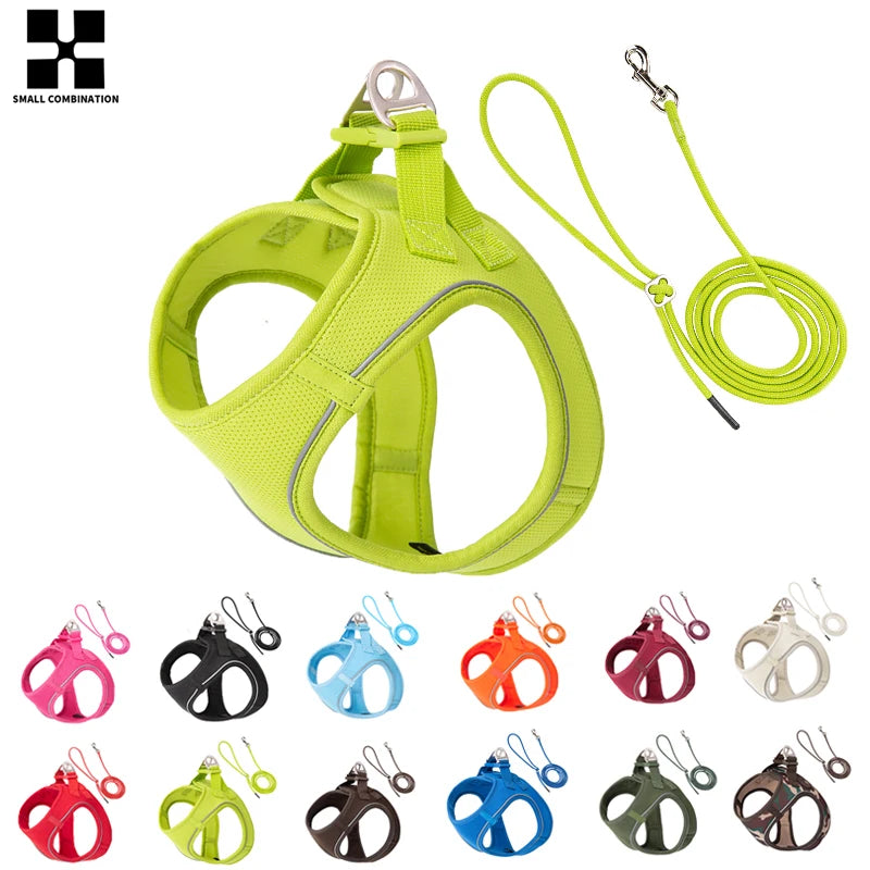 Nylon Reflective Dog Collar & Leash Set – Quick Release & Comfortable