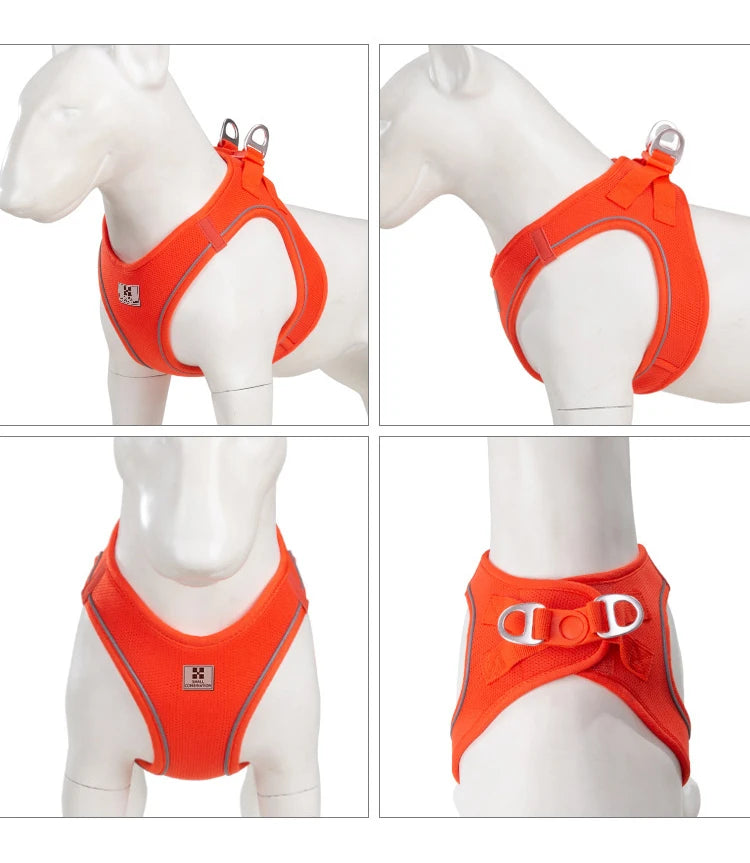 Nylon Reflective Dog Collar & Leash Set – Quick Release & Comfortable