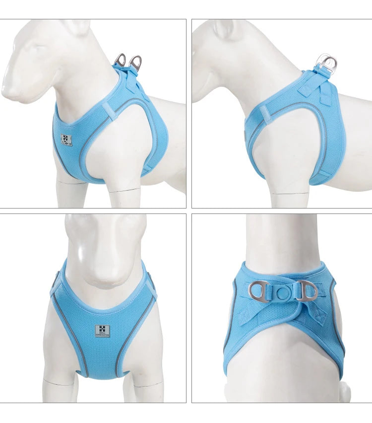 Nylon Reflective Dog Collar & Leash Set – Quick Release & Comfortable