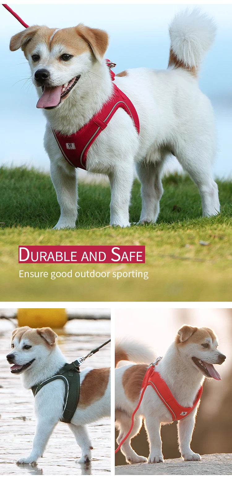 Nylon Reflective Dog Collar & Leash Set – Quick Release & Comfortable