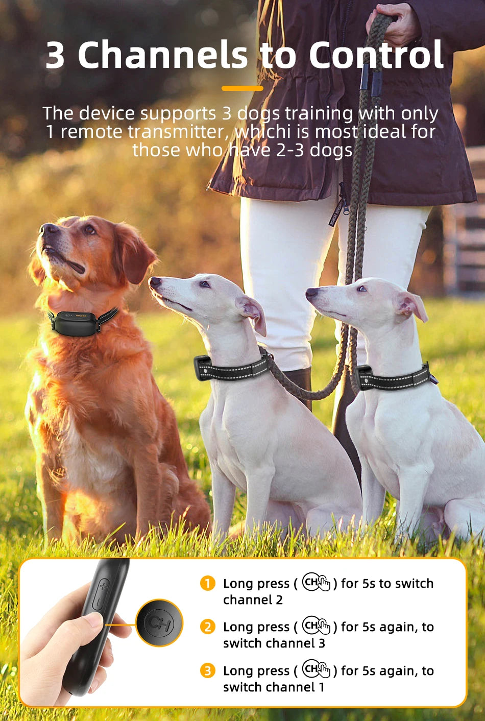 ROJECO PD521 Electric Dog Training Collar – 1000M Remote & Waterproof