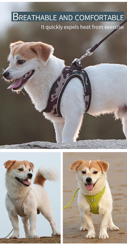 Nylon Reflective Dog Collar & Leash Set – Quick Release & Comfortable