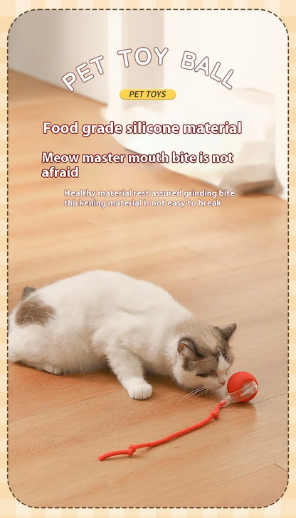 Interactive Silicone Cat Toy Ball – Battery Included