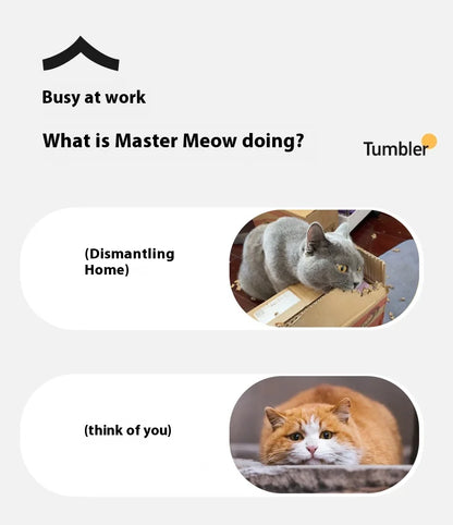 Interactive Silicone Cat Toy Ball – Battery Included