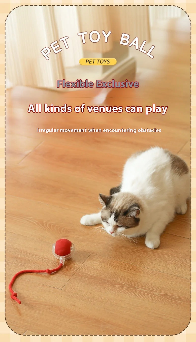 Interactive Silicone Cat Toy Ball – Battery Included