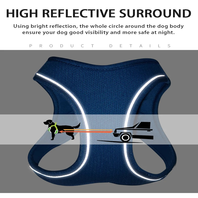 Nylon Reflective Dog Collar & Leash Set – Quick Release & Comfortable