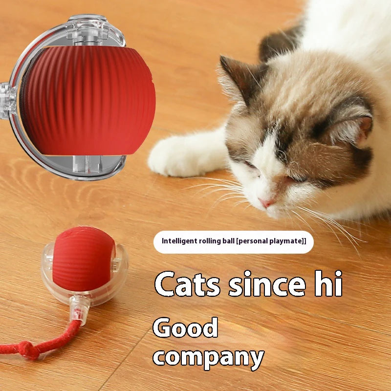 Interactive Silicone Cat Toy Ball – Battery Included