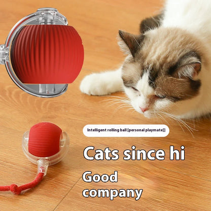 Interactive Silicone Cat Toy Ball – Battery Included
