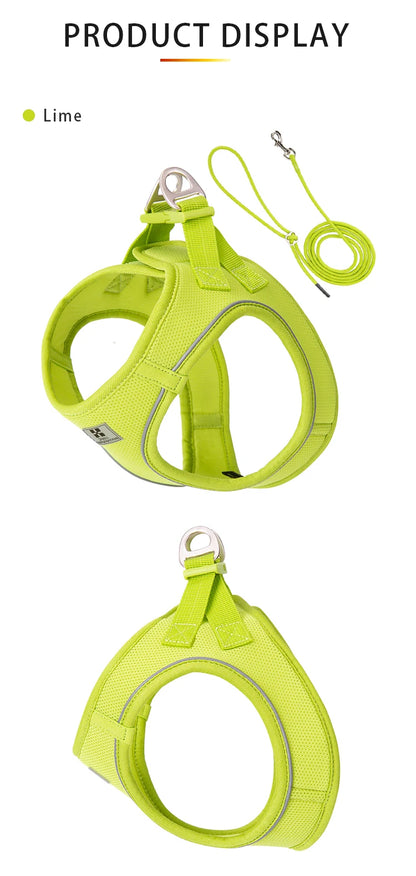 Nylon Reflective Dog Collar & Leash Set – Quick Release & Comfortable