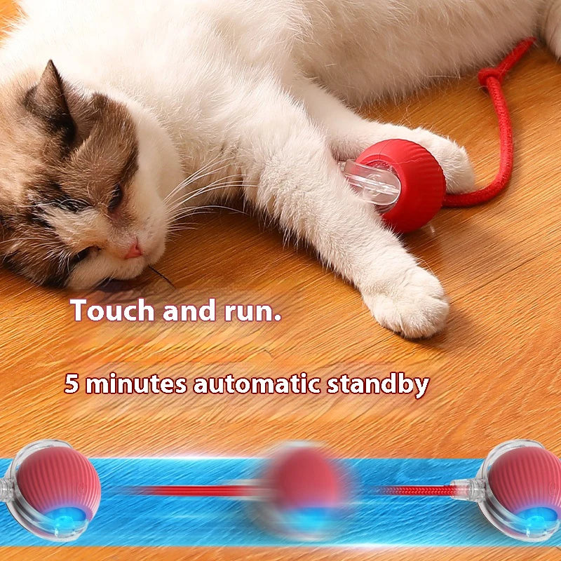 Interactive Silicone Cat Toy Ball – Battery Included