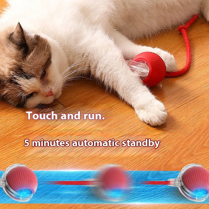 Interactive Silicone Cat Toy Ball – Battery Included