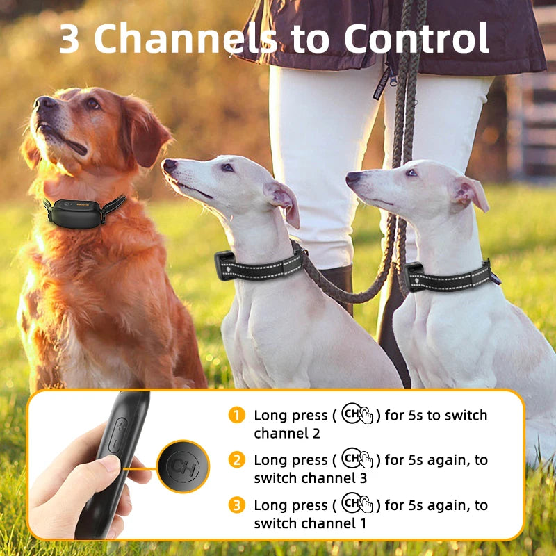 ROJECO PD521 Electric Dog Training Collar – 1000M Remote & Waterproof