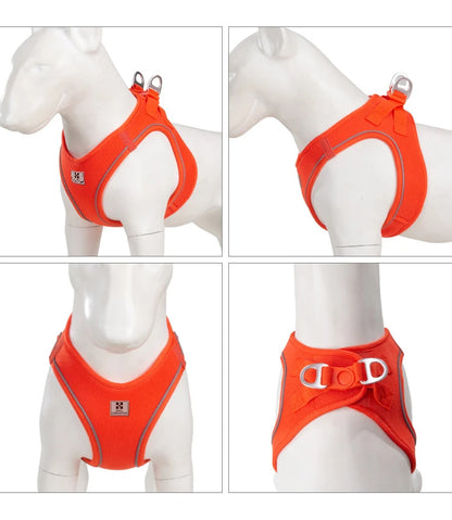 Nylon Reflective Dog Collar & Leash Set – Quick Release & Comfortable