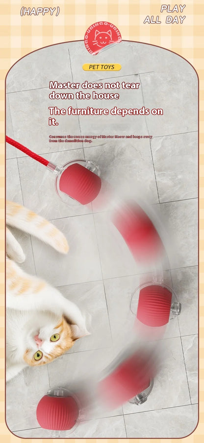 Interactive Silicone Cat Toy Ball – Battery Included