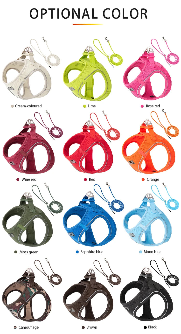 Nylon Reflective Dog Collar & Leash Set – Quick Release & Comfortable
