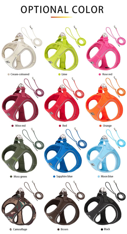 Nylon Reflective Dog Collar & Leash Set – Quick Release & Comfortable