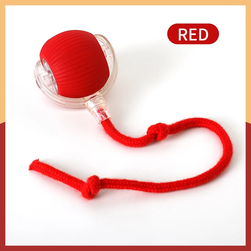 Interactive Silicone Cat Toy Ball – Battery Included