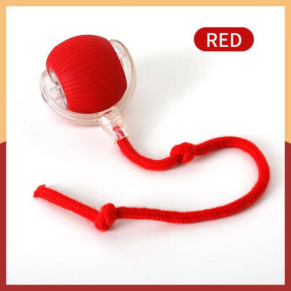 Interactive Silicone Cat Toy Ball – Battery Included