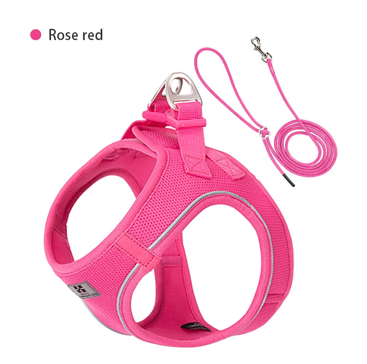 Nylon Reflective Dog Collar & Leash Set – Quick Release & Comfortable