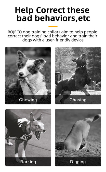 ROJECO PD521 Electric Dog Training Collar – 1000M Remote & Waterproof