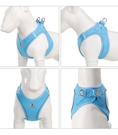 Nylon Reflective Dog Collar & Leash Set – Quick Release & Comfortable