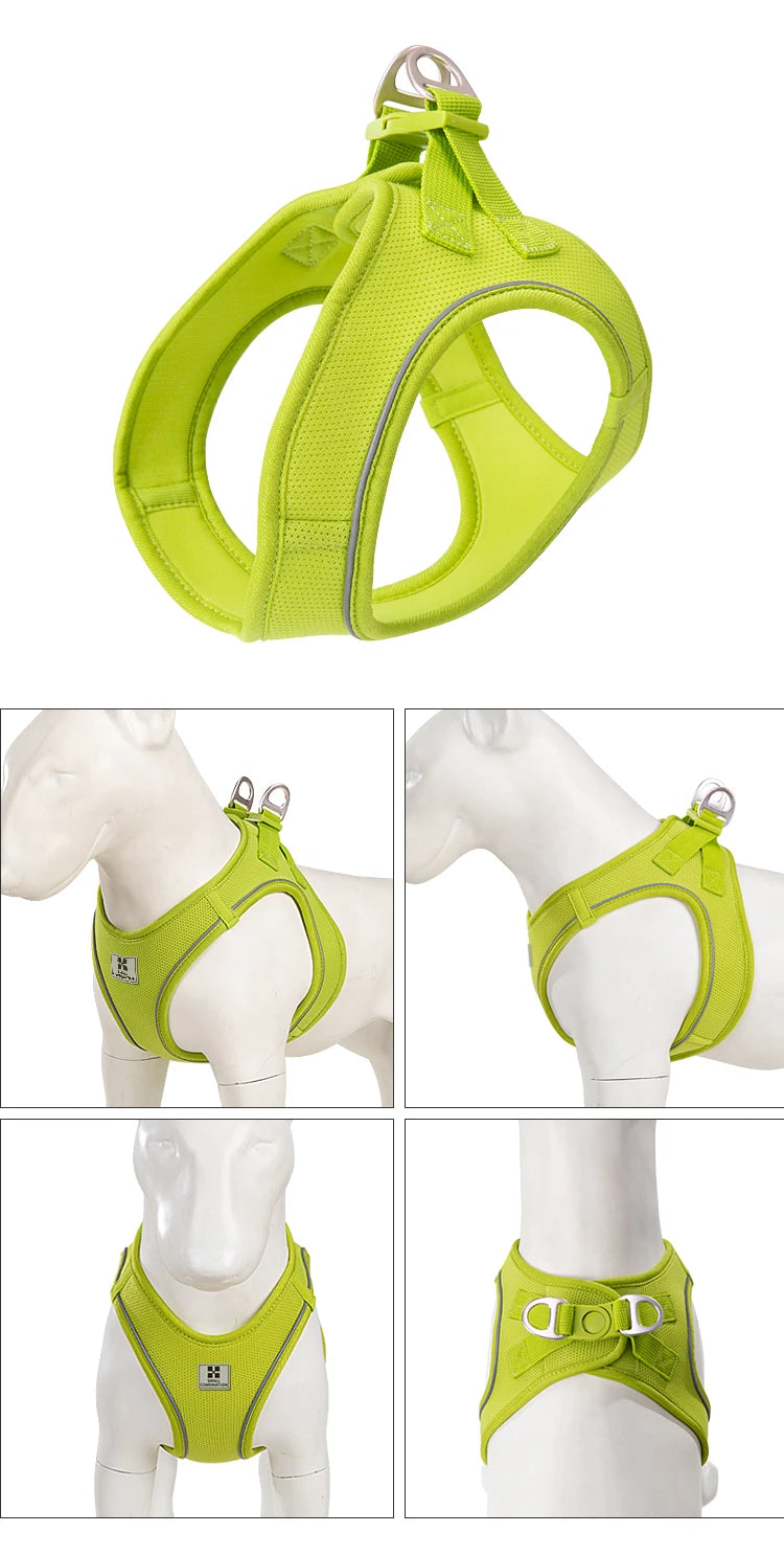 Nylon Reflective Dog Collar & Leash Set – Quick Release & Comfortable