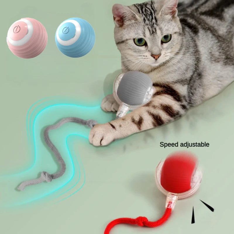 Interactive Silicone Cat Toy Ball – Battery Included