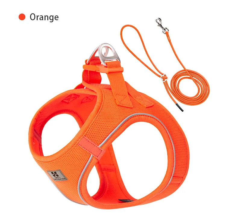 Nylon Reflective Dog Collar & Leash Set – Quick Release & Comfortable