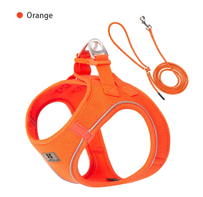 Nylon Reflective Dog Collar & Leash Set – Quick Release & Comfortable