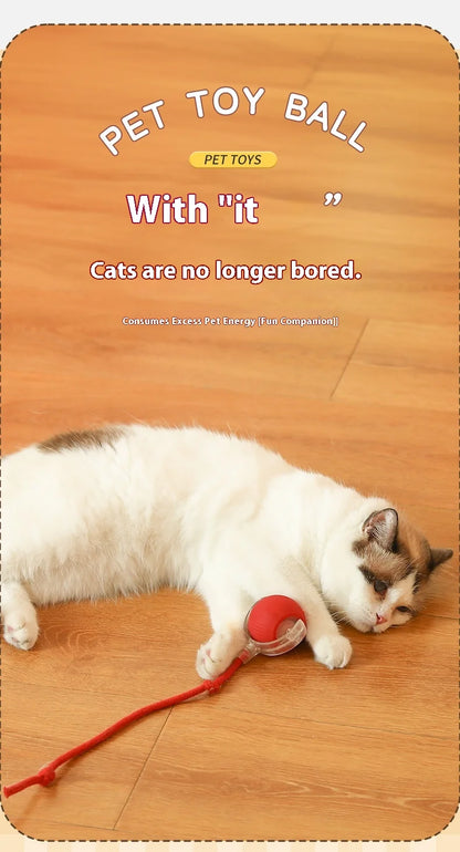 Interactive Silicone Cat Toy Ball – Battery Included
