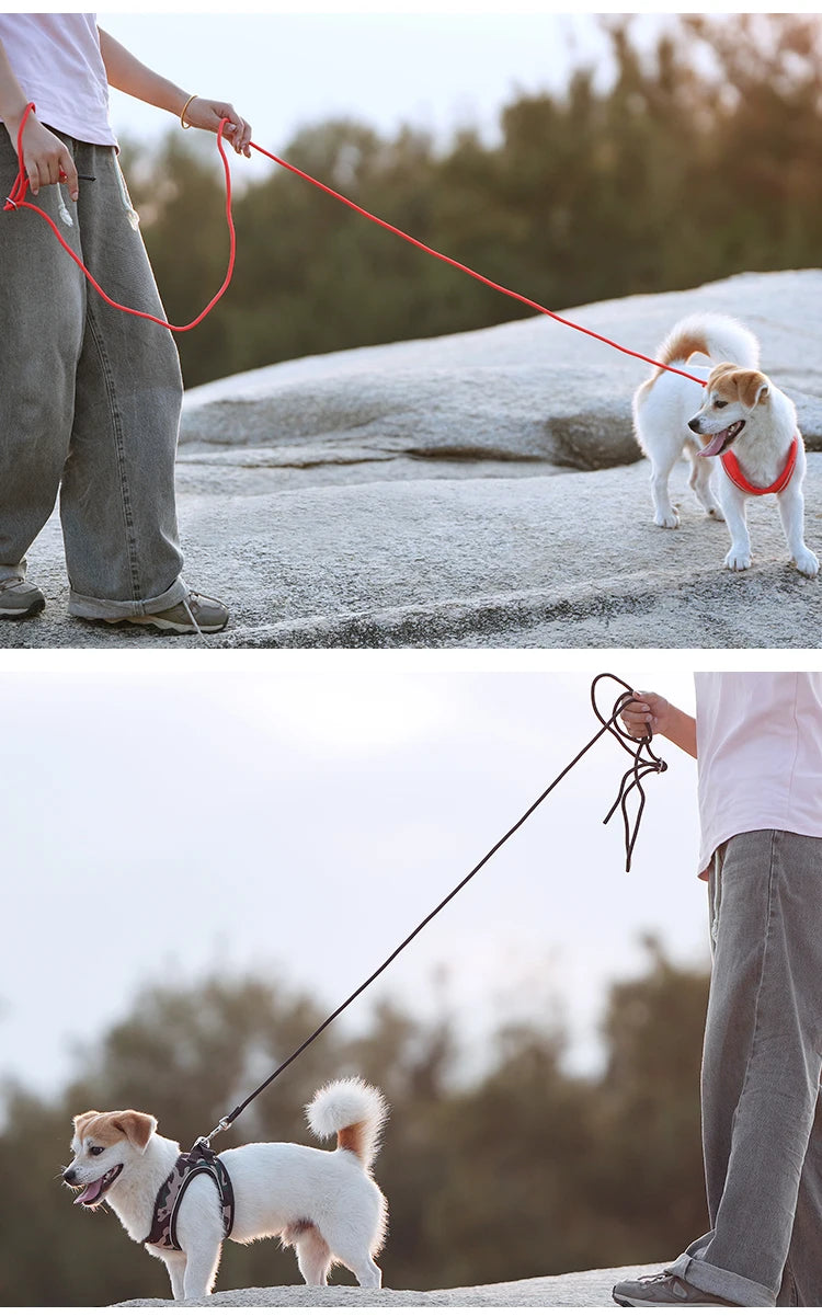 Nylon Reflective Dog Collar & Leash Set – Quick Release & Comfortable