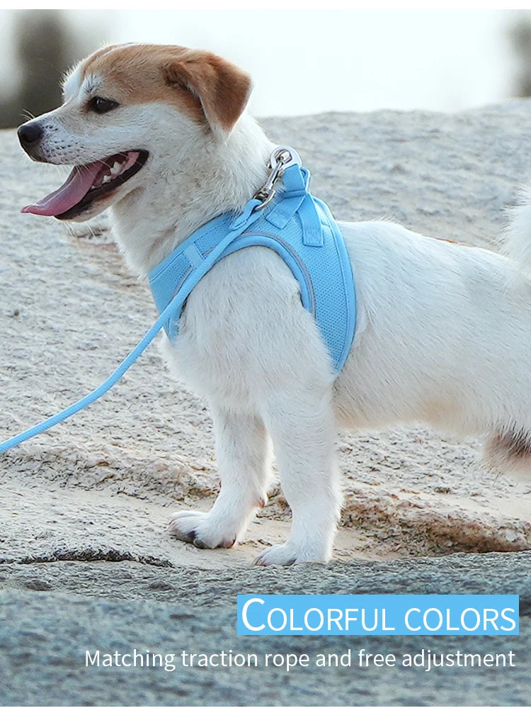 Nylon Reflective Dog Collar & Leash Set – Quick Release & Comfortable