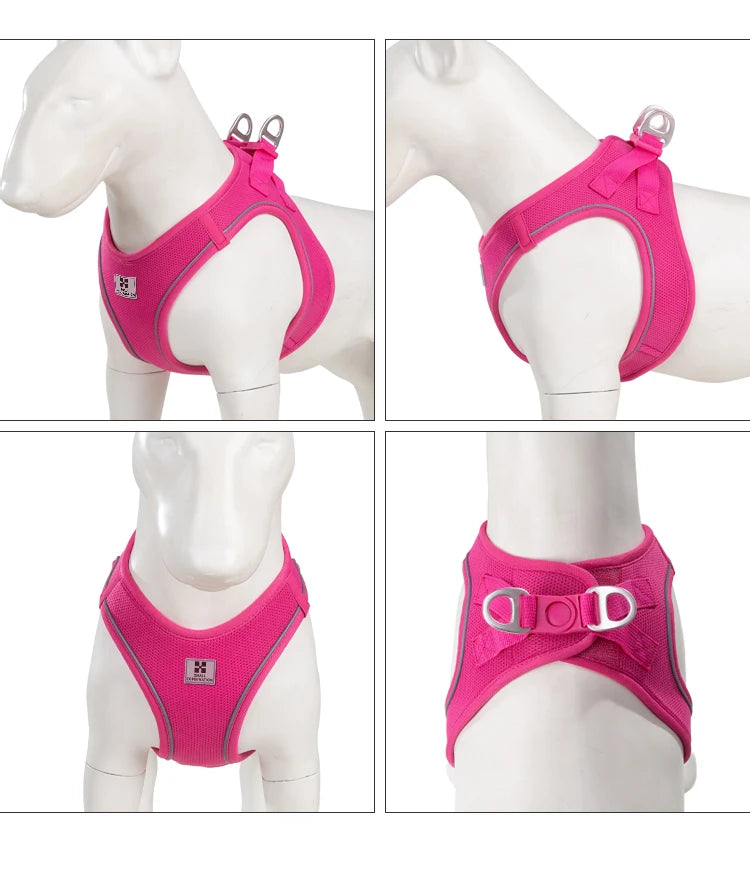 Nylon Reflective Dog Collar & Leash Set – Quick Release & Comfortable