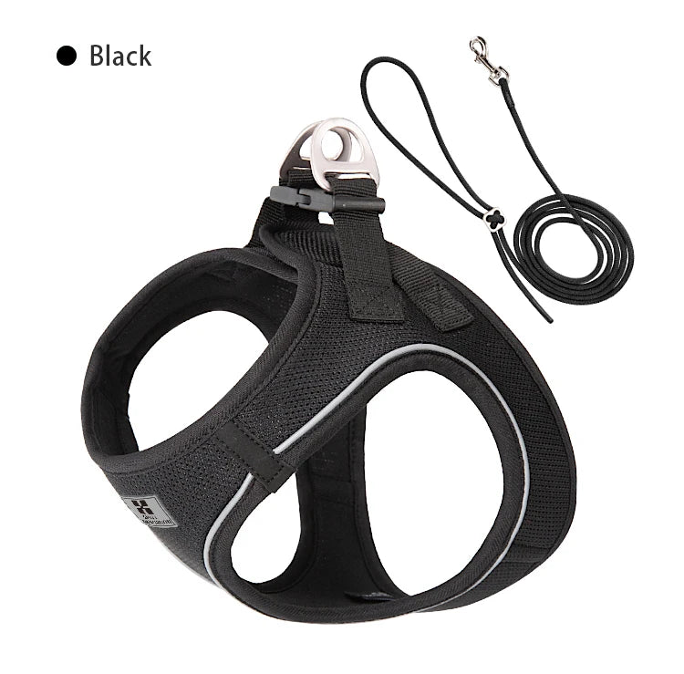 Nylon Reflective Dog Collar & Leash Set – Quick Release & Comfortable