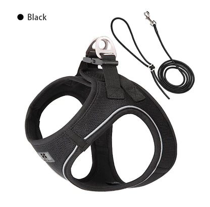 Nylon Reflective Dog Collar & Leash Set – Quick Release & Comfortable